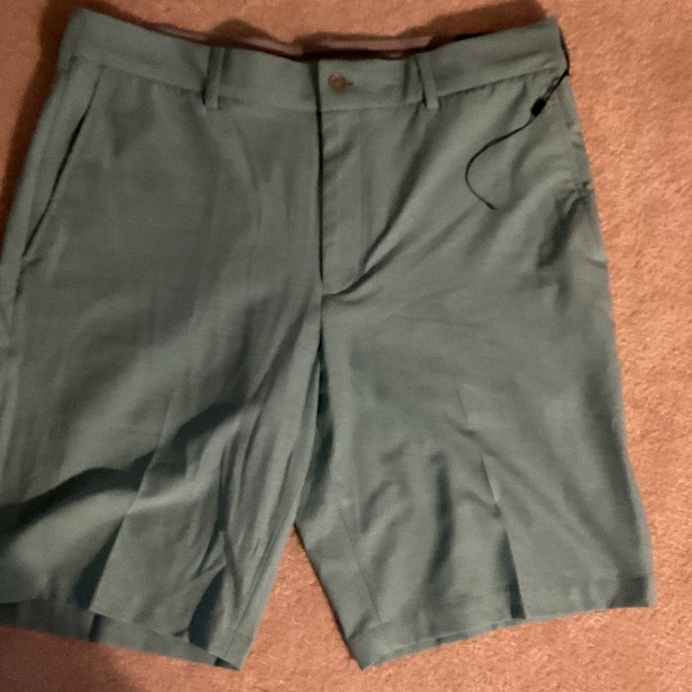 Men's Green Shorts 36 inseam 10